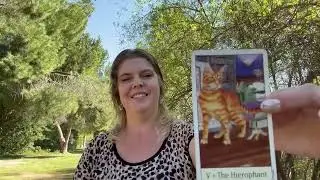 Aquarius 2026: A Fated Shift in Love & Purpose