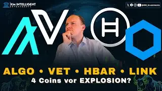 Algorand (ALGO), VeChain (VET), Hedera (HBAR) & Chainlink (LINK) | Bullrun Kursziele