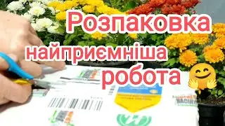 Розпаковка замовлення з Інтернет магазину 