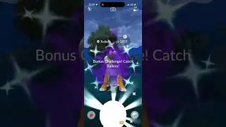 Shiny Shadow Raikou Raid | Pok&eacute;mon Go