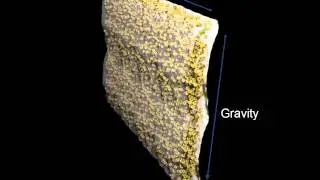 Proppant injection into Synthetic Fracture
