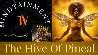 Queen Bee Secrets: The Sacred Hive's Hidden Symbolism And Spiritual Meaning | Flat Arch'E 5000