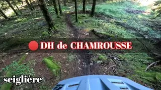 🔴 Les Seiglières DH de CHAMROUSSE ebike
