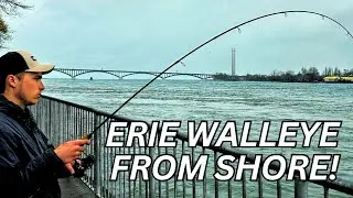 Catching Lake Erie Walleye From Shore