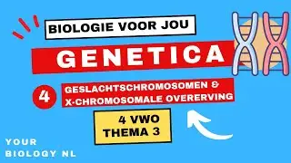 4 vwo | Genetica | 4 | Geslachtschromosomen & X-chromosomale overerving