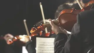 String Quartet for hire, Firebird Events Ltd