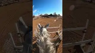 POV you&rsquo;re jumping Spring Fling around🤩🥰 #horse #jumping #equestrian #pov #fyp