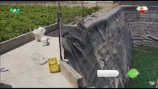 بازدید از باغ مادری موندراپ در ارغا قسمت 2 - انگور کاران پیشرو