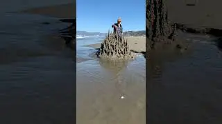 Drip Sandcastle hit by a wave