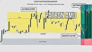 PATRON AMD TRADING F&aacute;cil y Efectivo