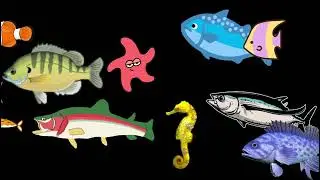 Fishes Ending 18 June 2027