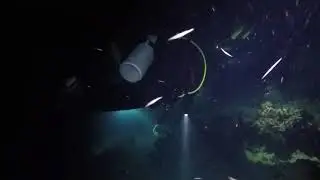 10 19 2019 Jenny Diver BlackBeard cruise Bahamas
