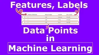 Features, Labels, and Data Points in Machine Learning