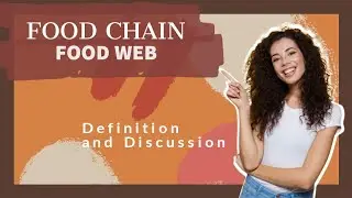 #Food_Chain #food_web #environmental_science #nep2020inaction #jkbose #environmentandecology