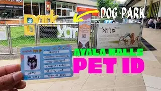 PET ID For Ayala Malls - Bark Yard Dog Park
