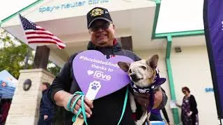 Navy veteran's 20-year-old dog becomes 2 millionth #Vaccinated&Loved recipient | Petco Love