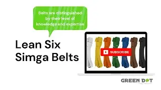 Lean Six Sigma Belts and Roles