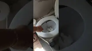 Incinolet Toilet