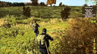 DayZ May I Axed You a Question?