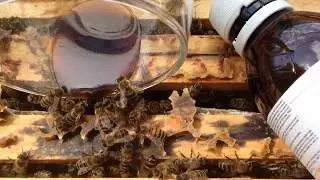 Magic Bees Nepalese Mad Honey + Extract