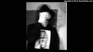 CZAPEL - HIENY (PROD. BAABICZ)