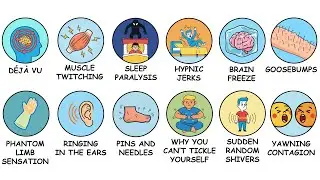 Every Weird Thing Our Body Does(And Why)