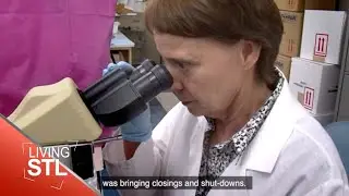 Virus Expert Dr. Sharon Frey | Living St. Louis