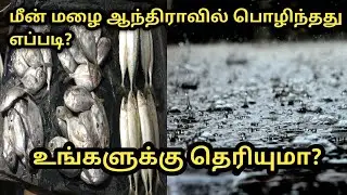 மீன் மழை பொழிந்ததால் அதிர்ச்சி அடைந்த ஆந்திரா மக்கள் | Fish rain in Andhra |Tamil | RK