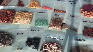 Tohum ekim dönemleri ve çimlenme süreleri