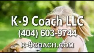 Dog Training Smyrna GA K-9 Coach LLC (404) 603-9744