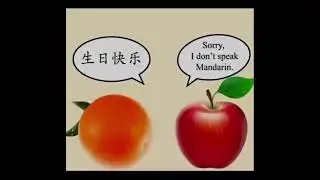Sorry your meme&rsquo;s under construction #memes #mandarin #funnyvideo #goofy 