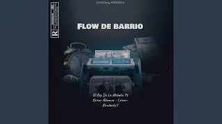 Flow De Barrio