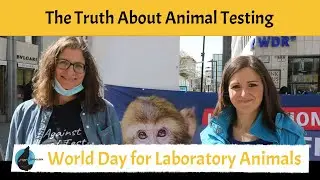 Interview with Dr. Dilyana Filipova from Doctors Against Animal Experiments