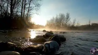 Relax and Unwind: Soothing River Sounds for Stress Relief | Dr. Nature&rsquo;s 2024 Guide #nature #relax