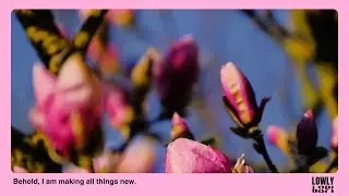 renew. | Lofi Worship Beats for Rest & Renewal in Christ 💤 ✨