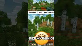 УКРАЛ РЕСУРСЫ И ЛИВНУЛ ОТ ТОПЕРА в МАЙНКРАФТЕ для ТЕЛЕФОНОВ / PHOENIX