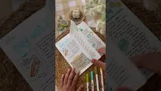 FlipThrough || Petite Journal  #atelierneorah #art #artwork #youtubeshorts #whatsinside #ytshorts#yt