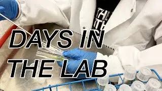 DITL Two Days in the Lab doing Algae Transfer (Biology PhD Student)