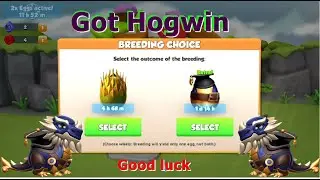 Have you got Hogwin Dragon-Dragon Mania Legends | Collected 150 plus Divine tickets | DML