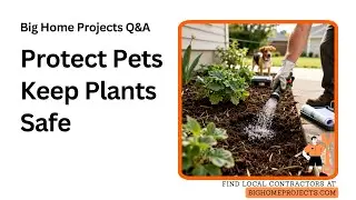 Pet-Safe Termiticide Plant-Zone Drying Guide