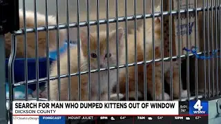 Man wanted for allegedly throwing kittens out car window along Dickson County road