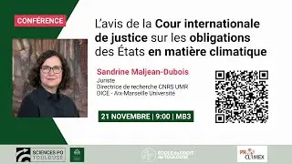 L'avis de la Cour internationale de justice sur les obligations des États en matière climatique