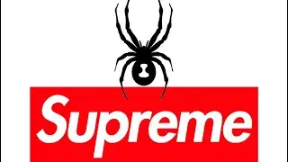 Supreme FW24 Week 18: Spyder Collection, Winter Tees Plus More