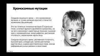 Lesson 40. Mutations and the NCBI SNP Database - December 8, 2025 (8:00 PM Moscow time)