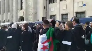 شاهد | محامو الجزائر يتظاهرون تأكيدا على تمسكهم بمطالب الحراك الشعبي