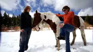 Yoga With Horses: Remembering Your Fullness