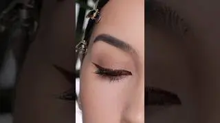 Bronze winged eyeliner look using the Stila stay all day inkwear liner in shade bronze blaze