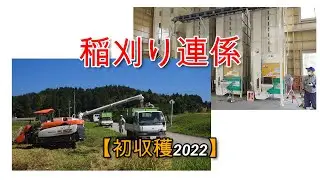 【稲刈り連係】刈取り籾回収：Harvested rice recovery