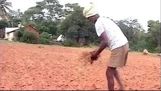 For Karnataka's drought-hit farmers, an endless wait for 'assistance'