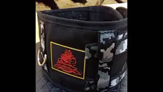 wild boar hunting dog collar
